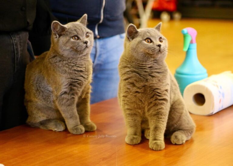 397532186_10224928192732263_7153636111102867062_n (1)