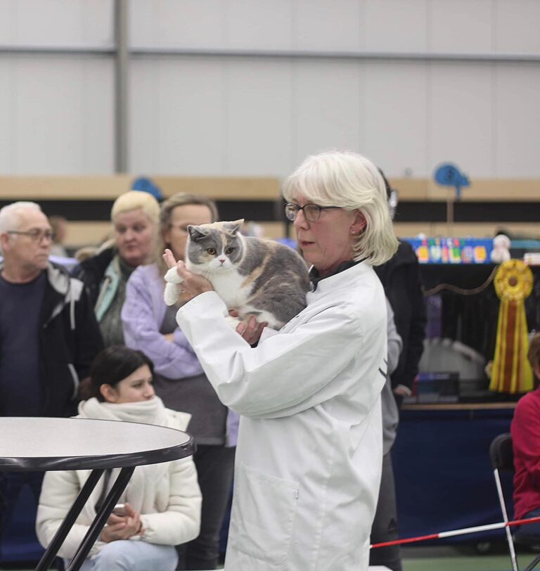 409420693_10225064390977134_5836145651618889643_n