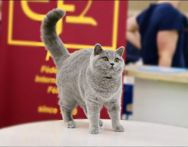 409928171_10225064361336393_3024932217085735211_n