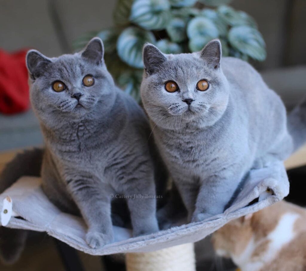 426490558_10225346031657975_7158691734831840786_n