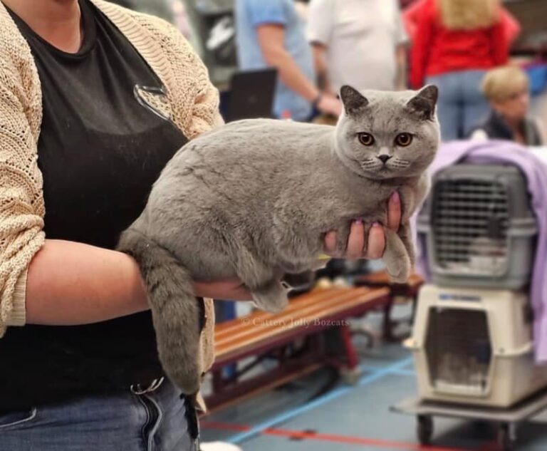 448109844_10225886819537334_7504697956750105924_n