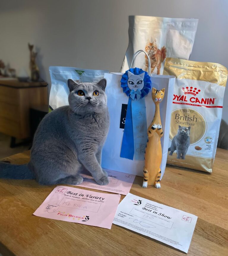 455645383_10226403272528336_6691267086648740989_n