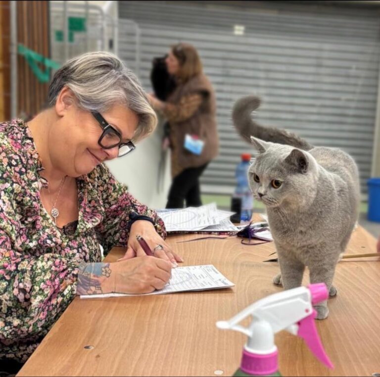 462699530_10226947046002333_3168844829098706993_n