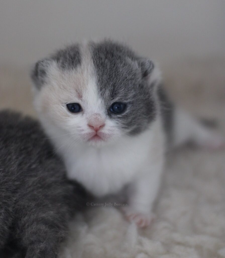 650429889_10233280165366359_5490322809900621886_n