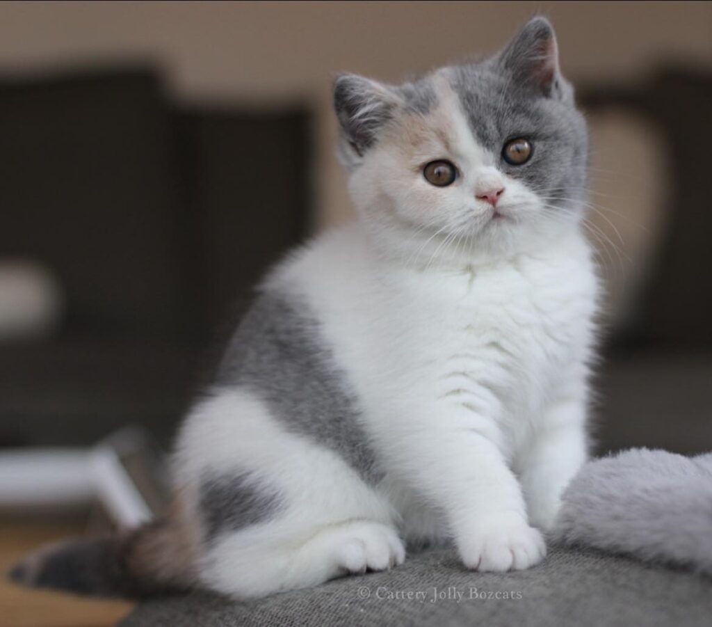 651256715_10233287534390580_2573566829110773866_n