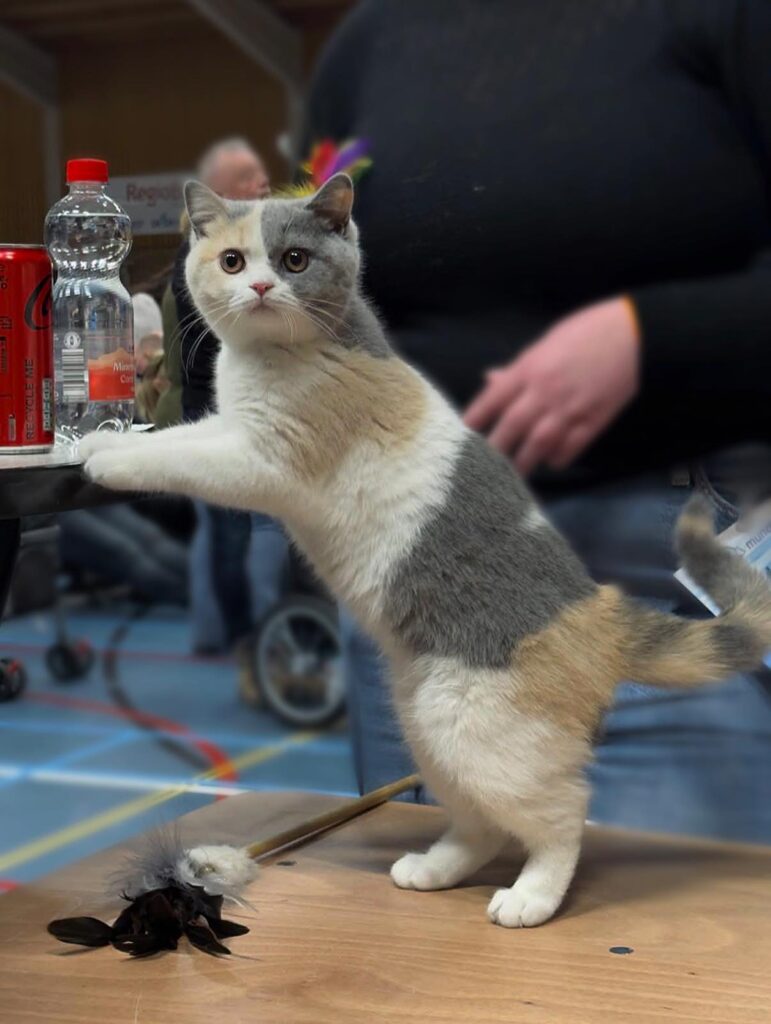 652109617_10233334496364600_4554151748921790916_n