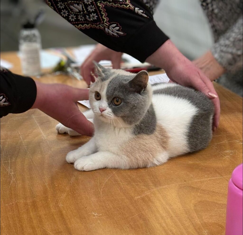 657910296_10233504619497572_8574678163413955582_n