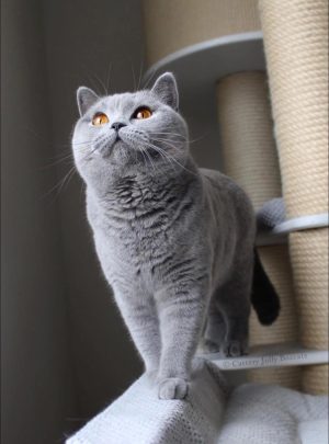 470575266_10227964748284254_3801187022125271720_n